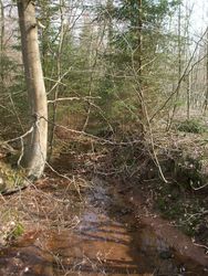 Eifel Radtouren, ein Traum wird wahr: Der Bierbach